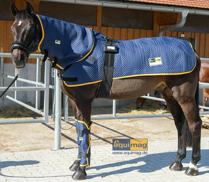 equimag_expert_Magnetfelddecke_pferd