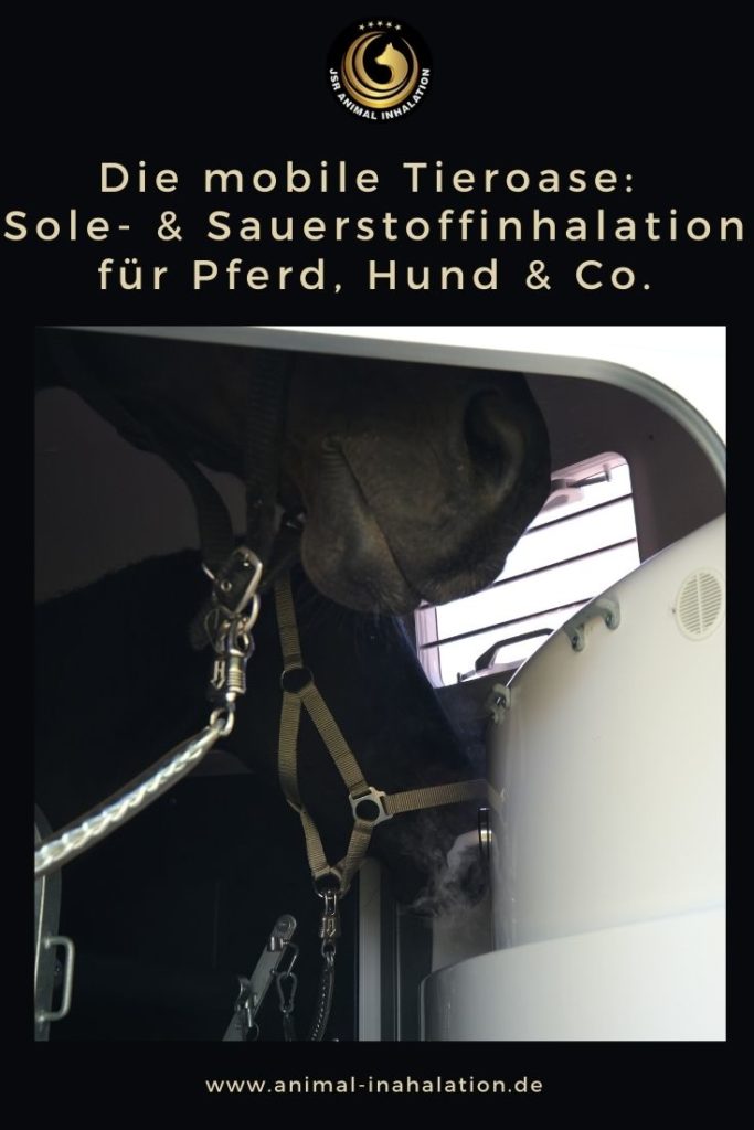 Sole und Sauerstoffinhalation für Pferd und Hund bei Die mobile Tieroase