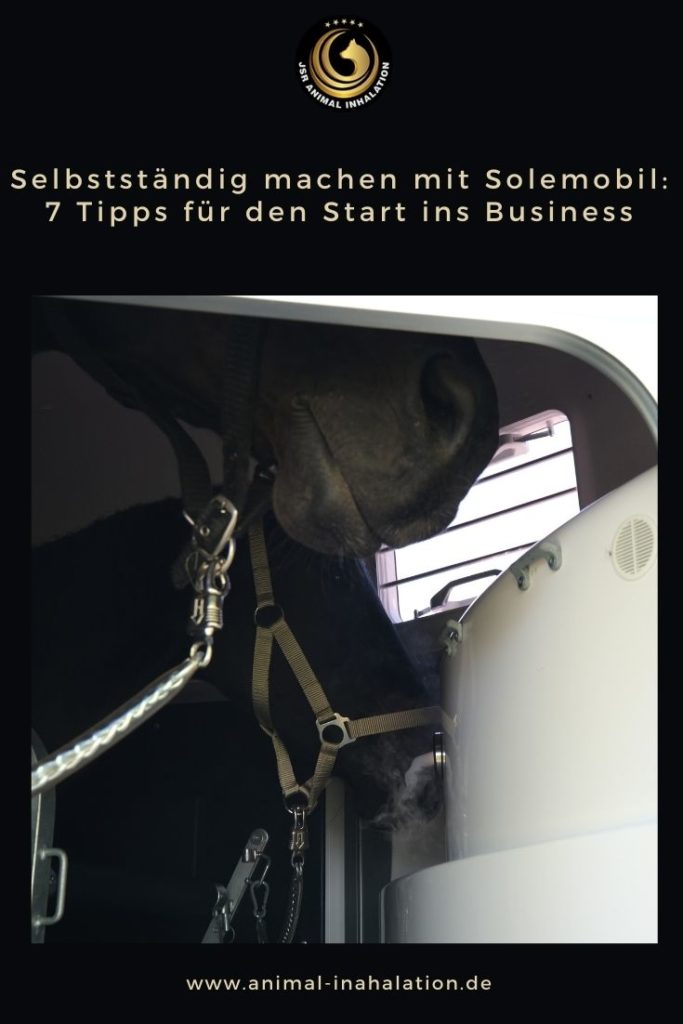 Tipps-fuer-den-Businessaufbau-mit-Solemobil